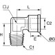 CODO IGUAL HEMBRA, BSP CILINDRICAS-MACHO CONICA - C1 : R1/2 - C2 : G1/2 - ROHS