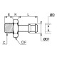 ESPIGA ACANALADA PARA TUBO FLEXIBLE,MACHO BSP CIL - DIAM D : 7MM - DIAM D1 : 8MM - C : G1/4 - ROHS