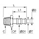 ESPIGA ACANALADA PARA TUBO DE CAUCHO,BSP CON - DIAM D : 13MM - DIAM D1 : 15MM - C : R3/8 - ROHS