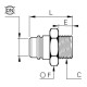 ACOPLADOR ROSCA, BSP CILINDRICA - C : G3/4 - DN : 19MM - ROHS